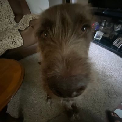 Kasey_Lynnn9's profile picture. 