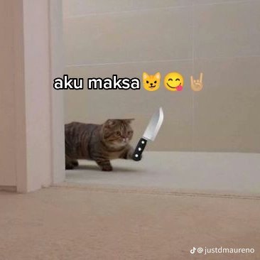 mixtapeyou's profile picture. 