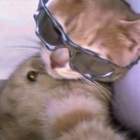 Dmsook (@dmsookw) 's Twitter Profile