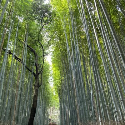 Viewer2018k's profile picture. こんにちは！ よろしくです！