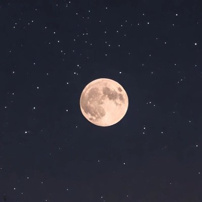 18/おっぱいちっちゃい/イチャイチャするのがすき/お金ないのでお金なしで遊びたいです/#裏垢女子 #裏アカ女子 #変態さんと繋がりたい #名古屋