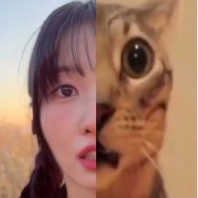 iheart_jah's profile picture. The IE needs me