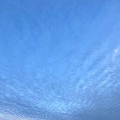 D6uoGCfh074uhXN's profile picture. 