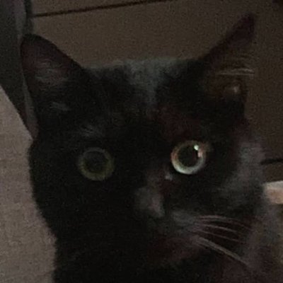 yowparkbw's profile picture. An ordinary South Korean programmer(Web, Mobile, Game, Desktop, Automation), I'll be a father to a son now