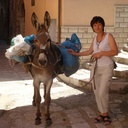 Tina Travers - @TinasItalian - Twitter