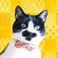 アイ (@momotokonatsu) Twitter profile photo