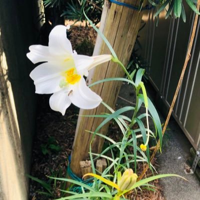 kanzaki8881's profile picture. トランプ🐯さん、❤️プー🐻さん、❤️アライアンス感謝❤️💫🙏❤️❤️❤️❤️ 投資家の方やネットビジネスなどの勧誘やアカウントの方は🙅‍♂️🙅‍♂️🙅‍♂️