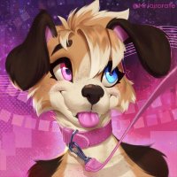 Autumn the Border Collie (@autumn_tbc) 's Twitter Profile Photo