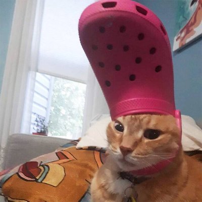 CROC ON TOP BOYS