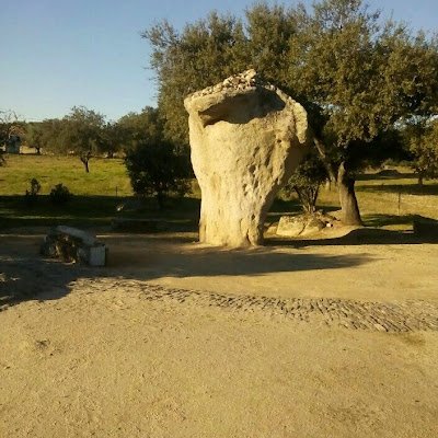 josFlor61277929's profile picture. 