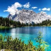 murats95174935's profile picture.