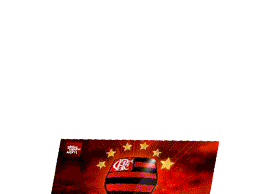 uma vez flamengo sempre flamego