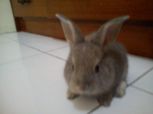 findra_finz's profile picture. 