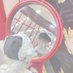 ま め@取引 (@ymts_tsrb_asg) Twitter profile photo ま め@取引 (@ymts_tsrb_asg) Twitter profile photo