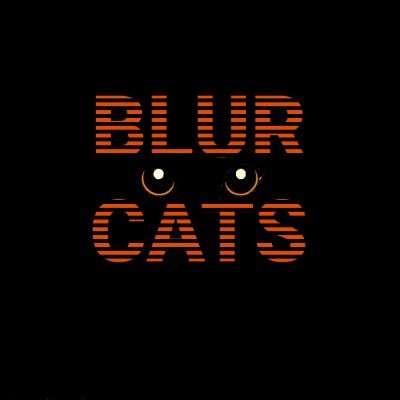 #BlurCats | Cute art | @Blast_L2 rewards | Generational Wealth
