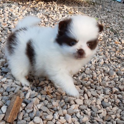 krisleba's profile picture. 