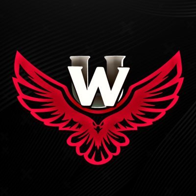 Organización profesional de deportes electrónicos Valorant - CODMobile #GOWAR #GOUW ❤️