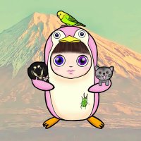 Penguin空を飛ぶ (@pengin1041) 's Twitter Profile