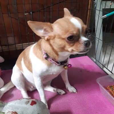 Ouyronnapoom's profile picture. .