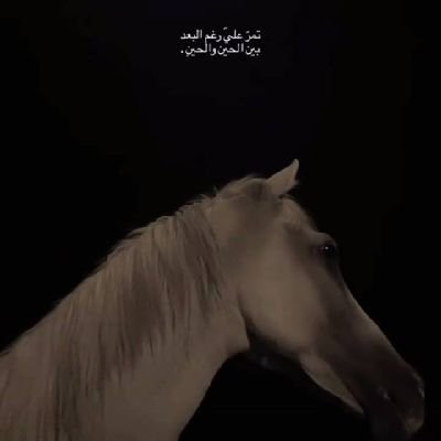 Kaito_kid_21's profile picture. ﻻ تجعل يوماً سيئاً يشعرك انك تملك حياة سيئة😇