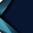 Lisa Perry's Twitter (X) avatar
