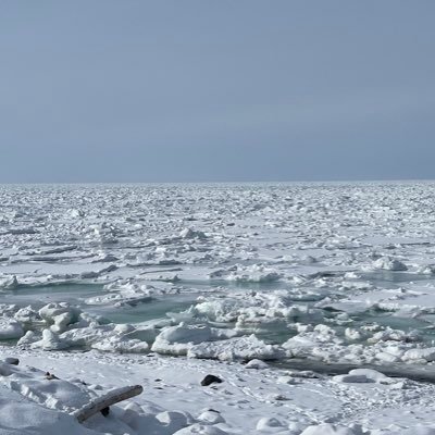 @snowman_dog