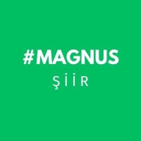 Magnus Şiir(@magnussiir) 's Twitter Profile Photo