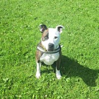 lee jenkinson (@jenkinsonco) 's Twitter Profile