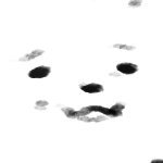 분필 (@chalk_hs) 's Twitter Profile