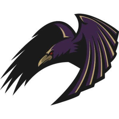 Membro da rede @somosFNN! O podcast da #RavensFlock no Brasil, dedicado ao Baltimore @Ravens, duas vezes campeão do Super Bowl e 8 vezes vencedor da AFC North.