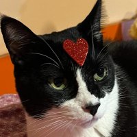Pizarro ♡ (@albitapiz) 's Twitter Profile