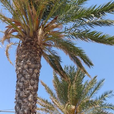 Guillemett2834's profile picture. 