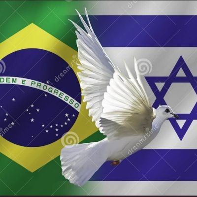 Cristão, conservador, patriota,  Bolsonarista.
Brasil acima de tudo
Deus acima de todos!!