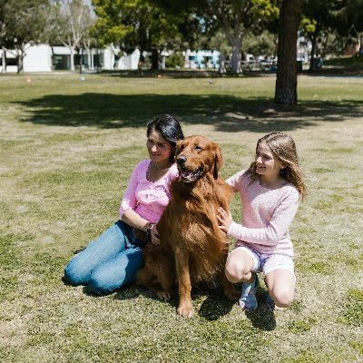 GoldHeartPets's profile picture. i love pupppis