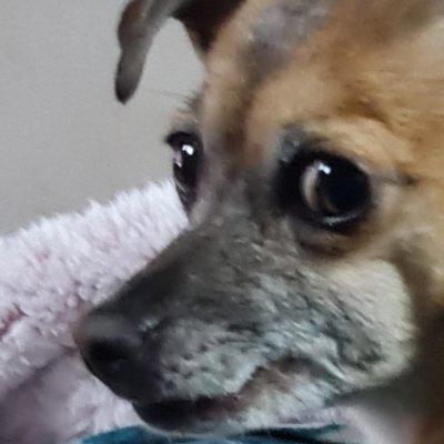 AaaZvi544's profile picture. 