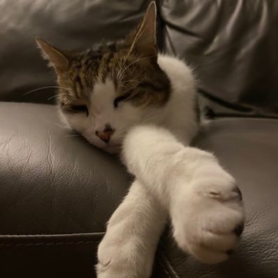 ClaudiuFi's profile picture. 