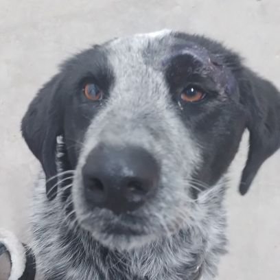 Legofun173's profile picture. 