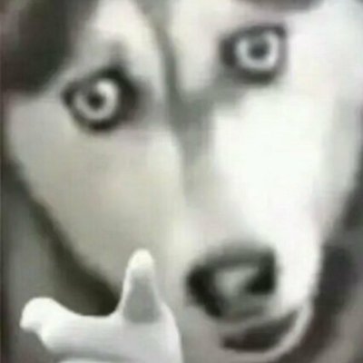 DLzhengjiacheng's profile picture. 为什么18岁还有年龄限制？