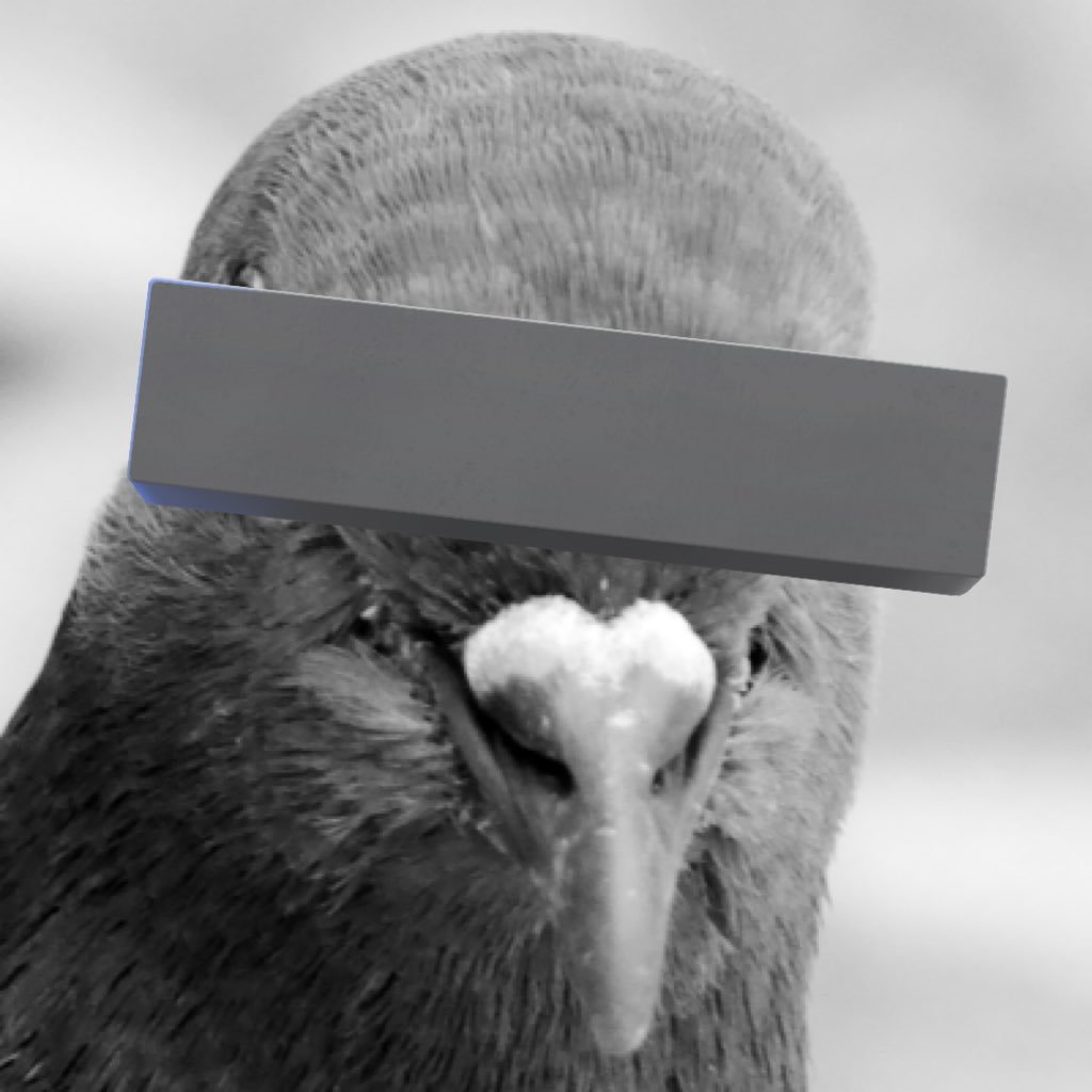 PigeonLove_999's profile picture. 
