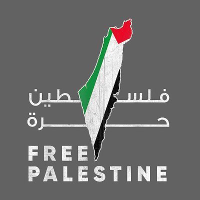 Lightee 🇵🇸さんのプロフィール画像