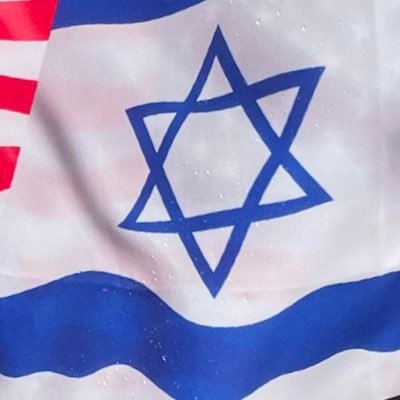 Flack for my Flag ⬆️ happily married 🇺🇸 🇮🇱 no DMs😡!!I Am The Reposter of what I like