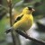 buhivigah's profile picture. I think I'm debriefed, spiritual and invisible, because of Jungle Brothers.