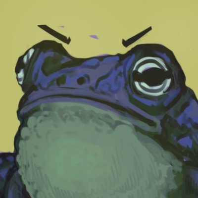 pipaさんのプロフィール画像