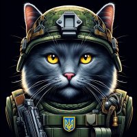 Maud Kotasova 🇺🇦✌️🤘🐦 (@maudkotasova) 's Twitter Profile Photo Maud Kotasova 🇺🇦✌️🤘🐦 (@maudkotasova) 's Twitter Profile Photo