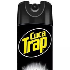 Berna_N's profile picture. 