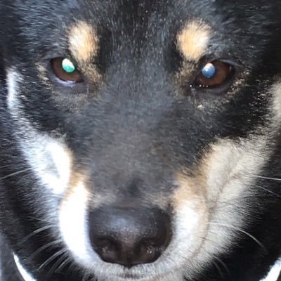 hirhirsy's profile picture. 大教トランペット専攻