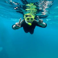 Fikar (@nshfkr) 's Twitter Profile