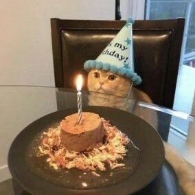 Kflays2's profile picture. 