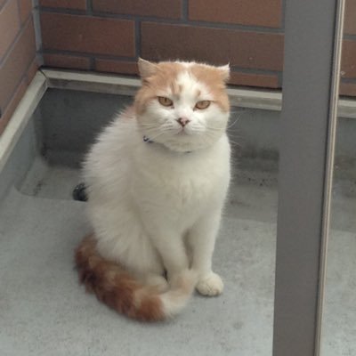 flely_'s profile picture. エコフェミニズム、環境正義、環境運動の研究をしています。