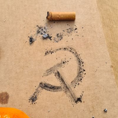 jaiaparas_'s profile picture. 18 | marxist leninist maoist | CR 'leviathan' by thomas hobbes | 🏴󠁧󠁢󠁥󠁮󠁧󠁿/🇮🇳🇫🇯 | she/they